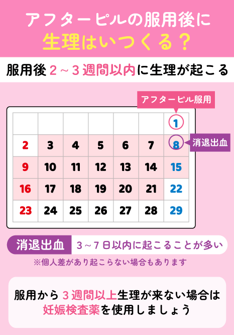 アフターピル服用後に生理がいつくるかを説明する画像